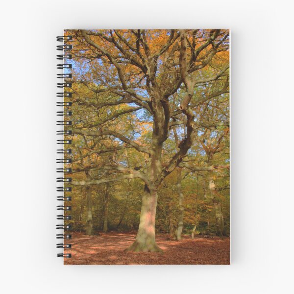 Item preview, Forestree designed and sold by days-photographic.