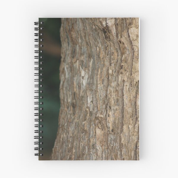 Item preview, Beautiful Everyday designed and sold by Melissa Park.