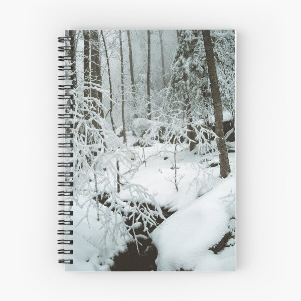 Artikelvorschau, WINTER STREAM entworfen und verkauft von Chuck Wickham.