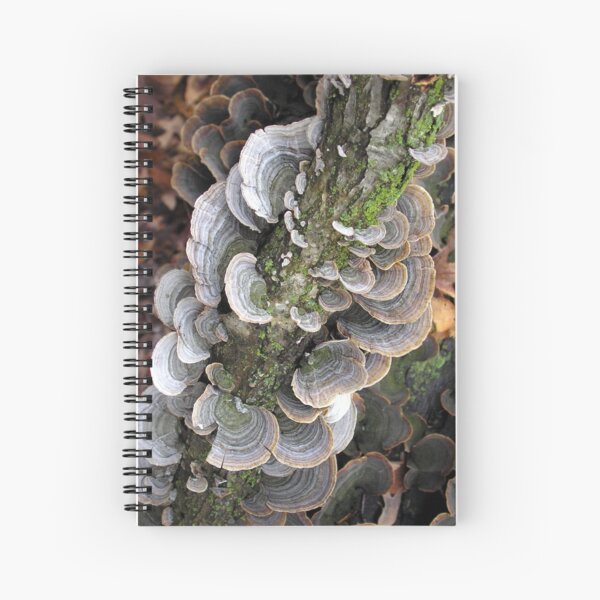 Item preview, Upwards designed and sold by Carla Wick/Jandelle Petters.