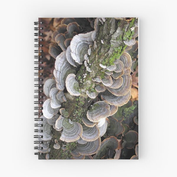 Item preview, Upwards designed and sold by Carla Wick/Jandelle Petters.