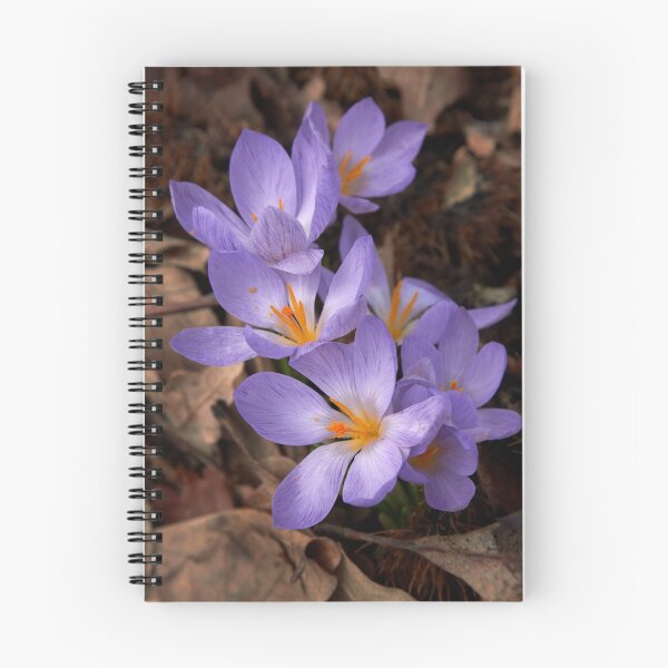 Item preview, Jewels amongst the leaf litter... designed and sold by anniek1947.