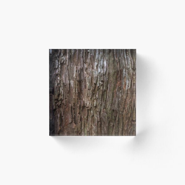 Redwood Bark Acrylic Block