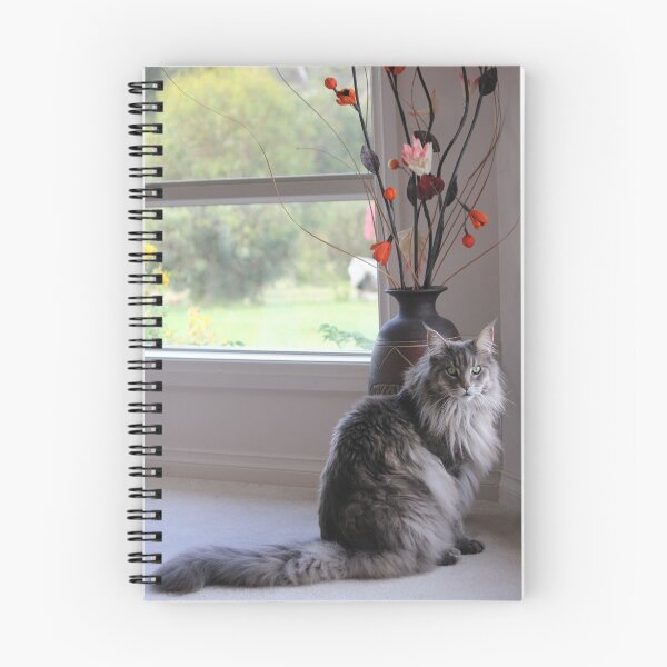 Aperçu de l'œuvre M. Maine Coon créée et vendue par Chuckys72.