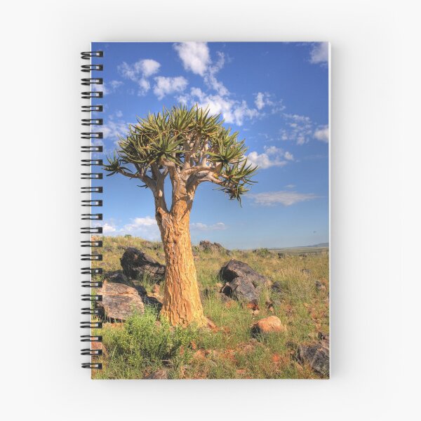 Item preview, Quiver Tree designed and sold by Rudi Venter.