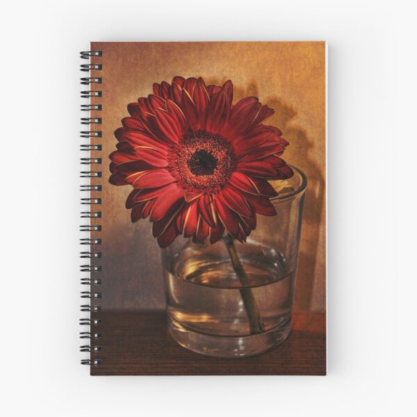 Aperçu de l'œuvre Gerbera  créée et vendue par Julesrules.