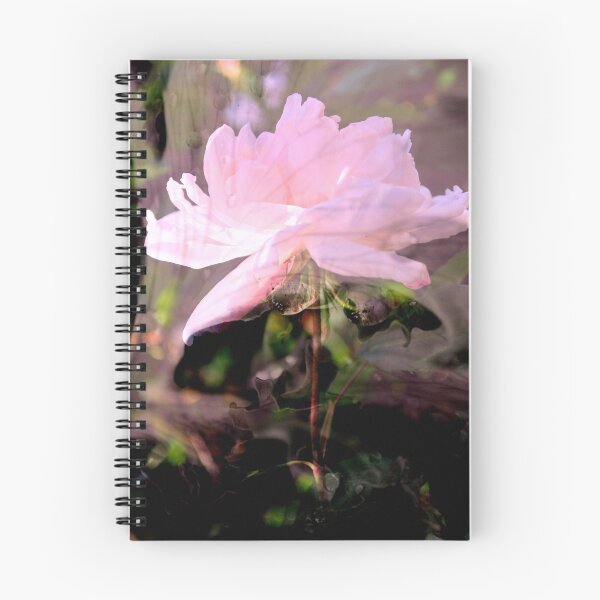 Item preview, Standing in the Light. designed and sold by Lozzar Flowers & Art.