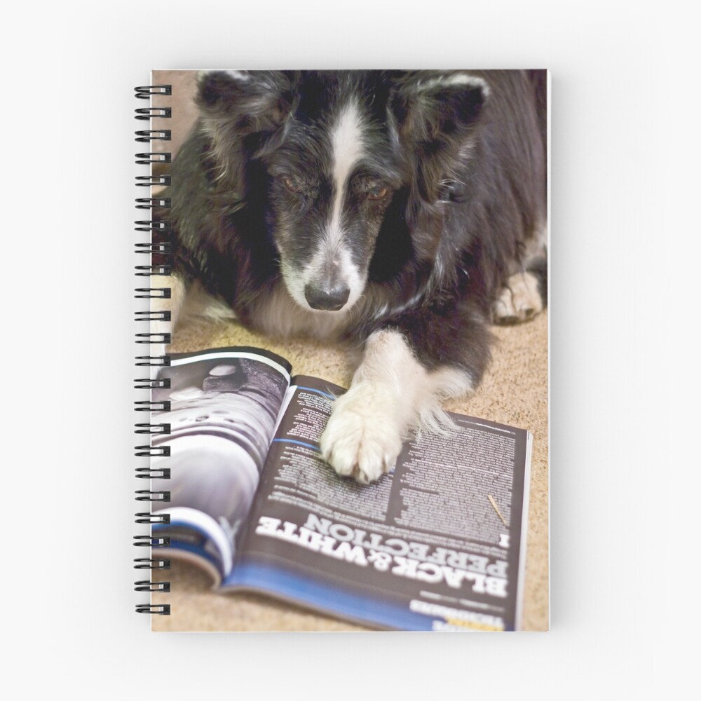 Item preview, Spiral Notebook designed and sold by Jenbee.