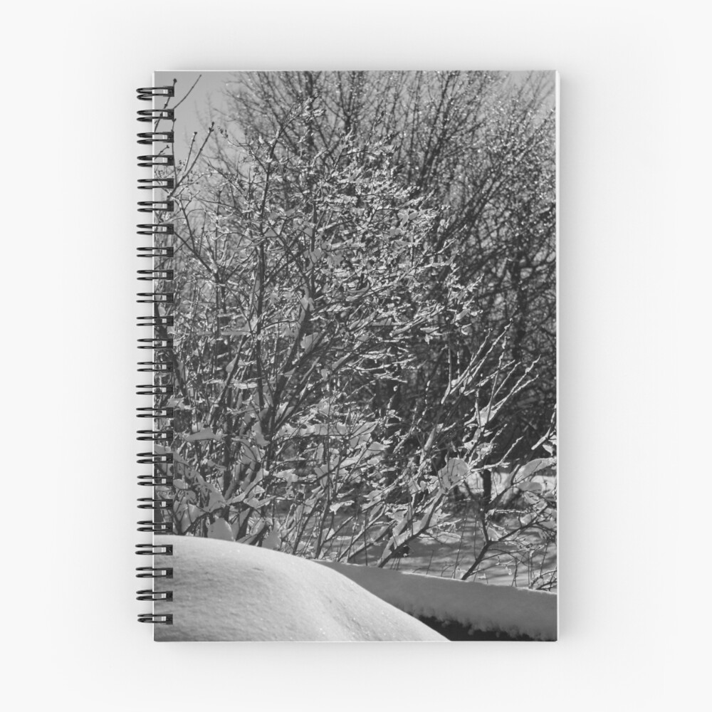 Item preview, Spiral Notebook designed and sold by Boo7.