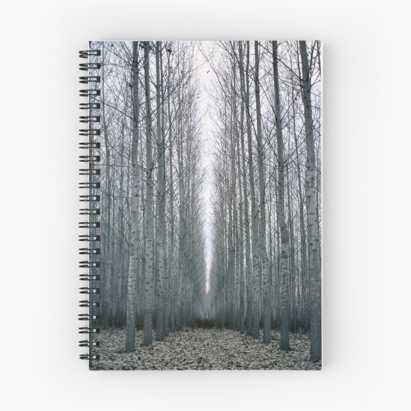 Item preview, The path designed and sold by FOTIS MAVROUDAKIS.