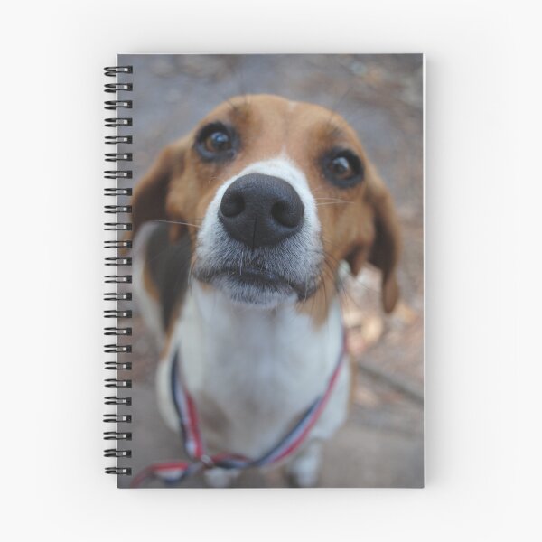 Item preview, Our Dixie Girl designed and sold by youngartista.