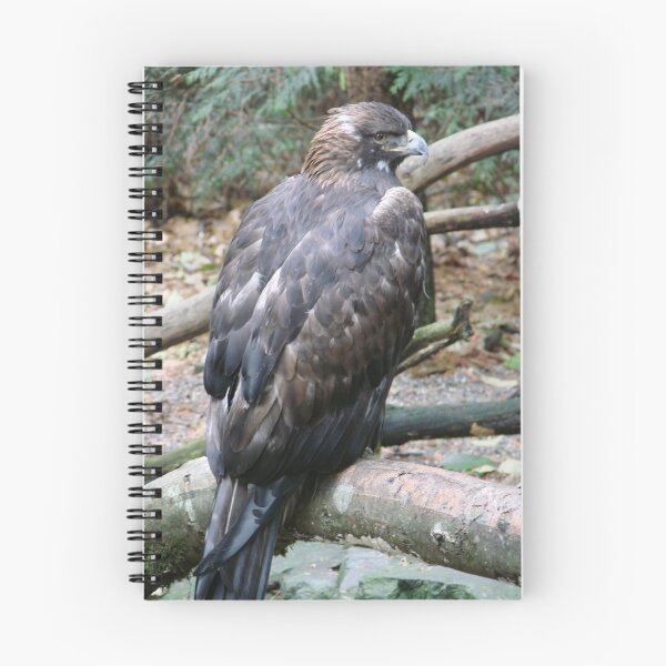 Artikelvorschau, Golden Eagle entworfen und verkauft von WindRiverRanch.