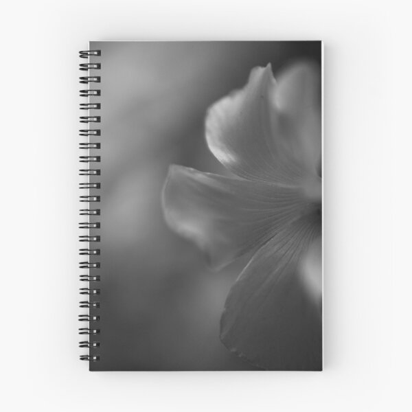 Item preview, Everything Is Beautiful designed and sold by Laurie Search Fine Art Photography.