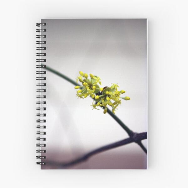 Item preview, The spring of last year designed and sold by Tanja Katharina Klesse.