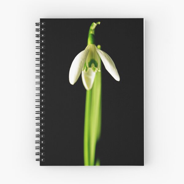 Item preview, Snowdrop designed and sold by Ronny Falkenstein.