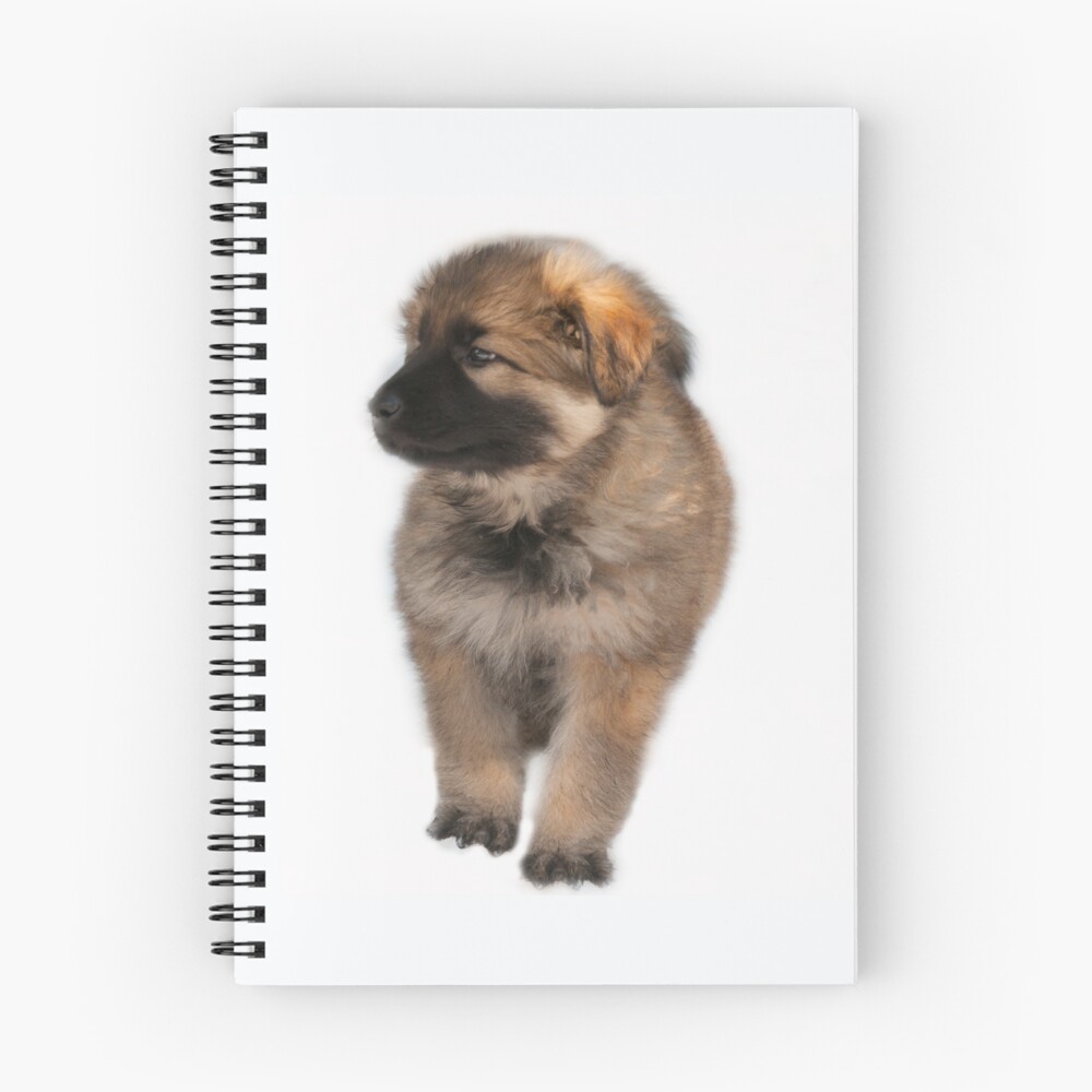 Item preview, Spiral Notebook designed and sold by trynaty.