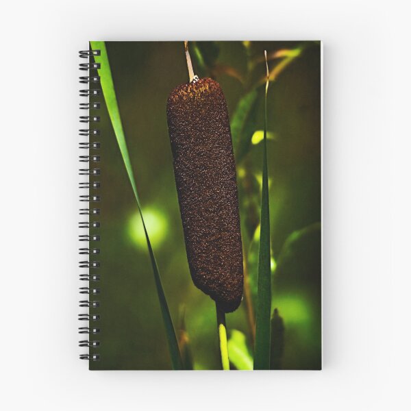 Item preview, Bulrush designed and sold by Sue Ratcliffe.