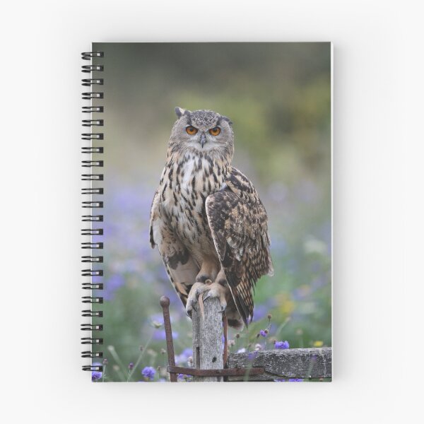 Item preview, owl designed and sold by stephen  barber.