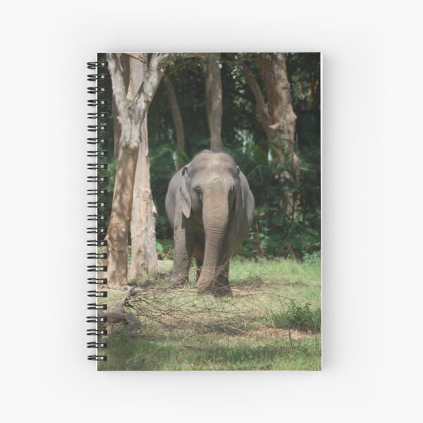 Indian Elephant Spiral Notebook