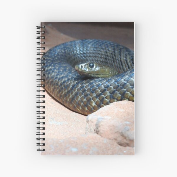 Item preview, Inland Taipan designed and sold by kirstybush.