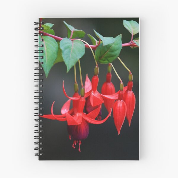 Item preview, Fuschia Blossoms designed and sold by May-Le Ng.
