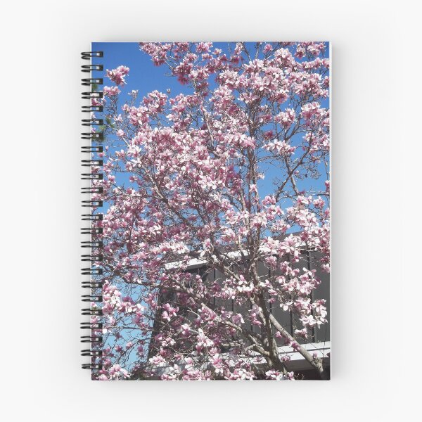 Item preview, Magnolia Tree Behind Red Lobster (but Tulip to me, lol) designed and sold by Charldia.