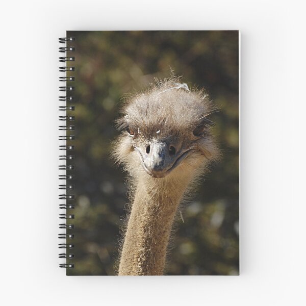 Item preview, ostrich designed and sold by Declan Carr.