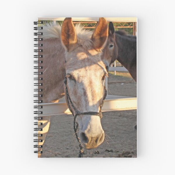 Item preview, Mule designed and sold by onnibright.