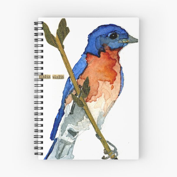 Item preview, Sialia Sialis (#3) Eastern Bluebird designed and sold by Carol Kroll.