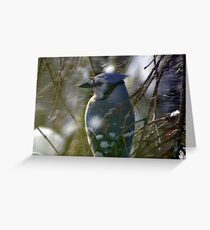Fair Weather Blizzard Greeting Card