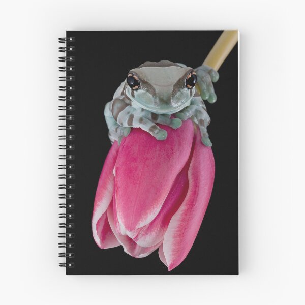 Item preview, Sitting Pretty designed and sold by Val Saxby.