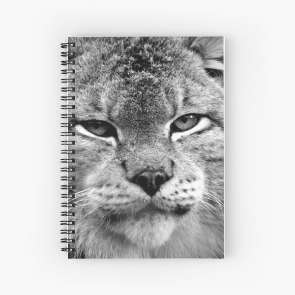 Dartmoor Zoo Gifts & Merchandise Redbubble