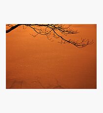 December Snow at Night Photographic Print