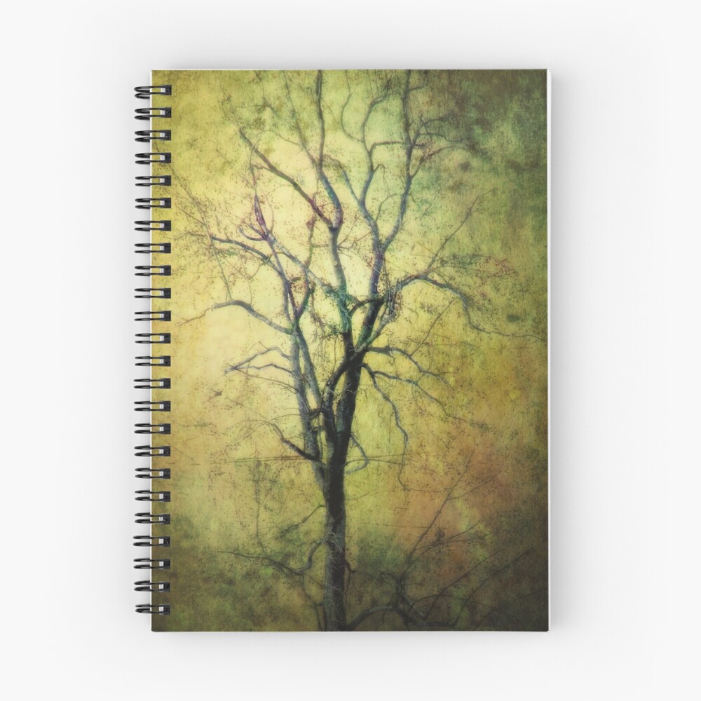 Item preview, Spiral Notebook designed and sold by pkg39.