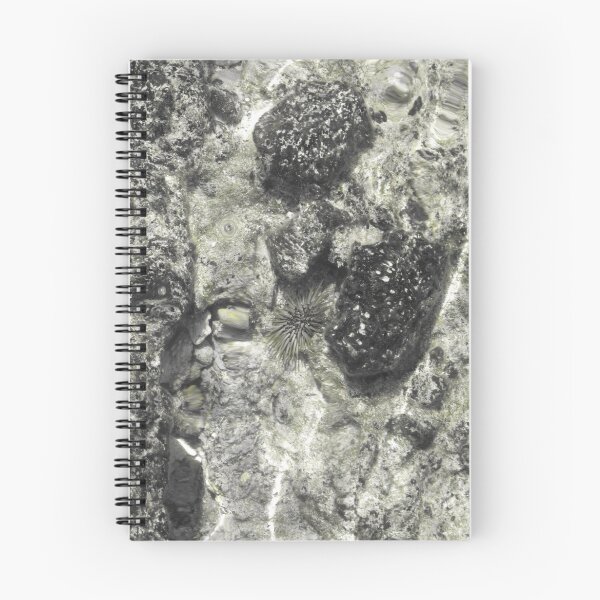 Artikelvorschau, Tide Pool Creatures entworfen und verkauft von miola.