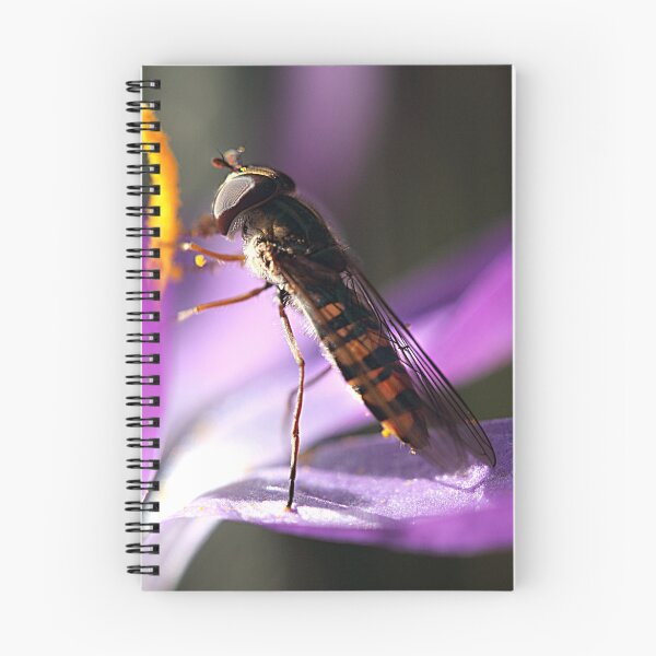 Item preview, Figwort Wasp (Maybe) designed and sold by Brian Beckett.