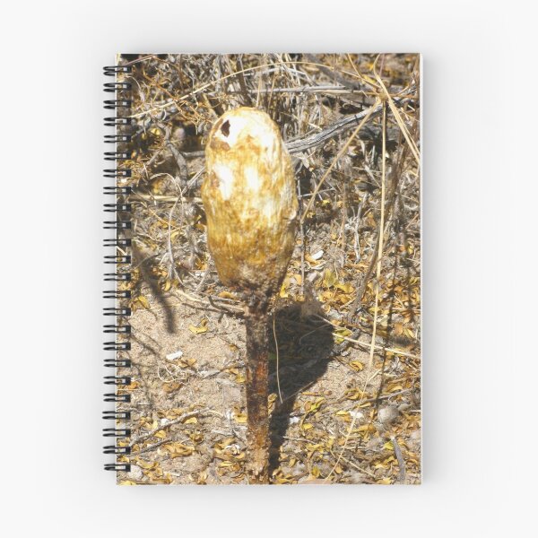 Item preview, "Podaxis" Desert Mushroom designed and sold by CynLynn.