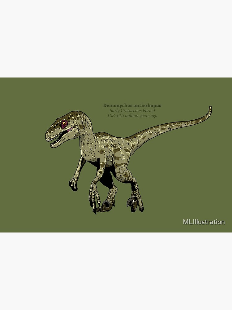 Deinonychus (Deinonychus antirrhopus) Dimensions & Drawings