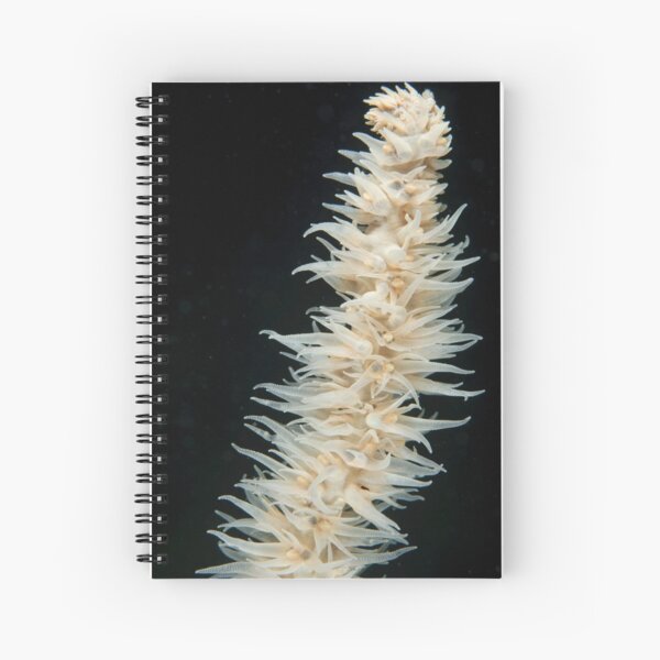 Whip Coral Spiral Notebook