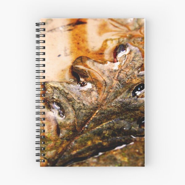 Item preview, leaf in the water designed and sold by tego53.