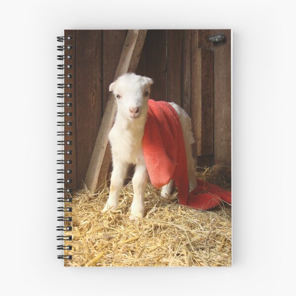Item preview, Brand New Goat,New Blanky, New Day at the FARM designed and sold by RealPainter.