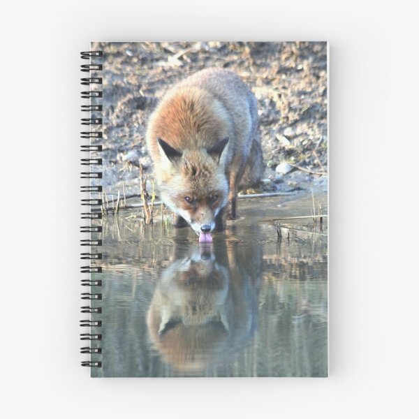 Item preview, Fox water refections designed and sold by DutchLumix.