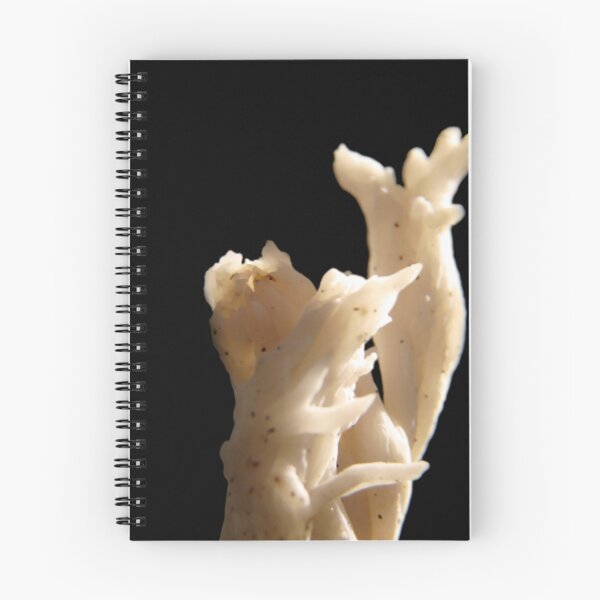 Item preview, coral fungus designed and sold by tego53.