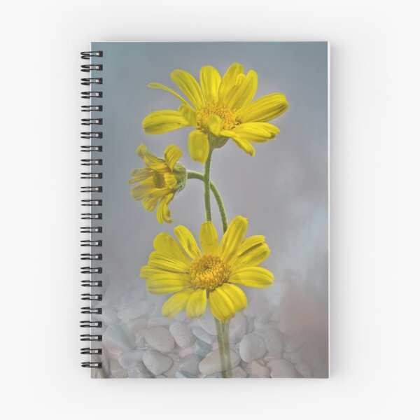 Item preview, Daisies on Stone designed and sold by BoB Davis.