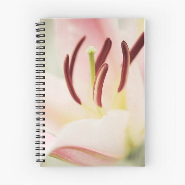 Item preview, Preciousness among petals designed and sold by dhmig.