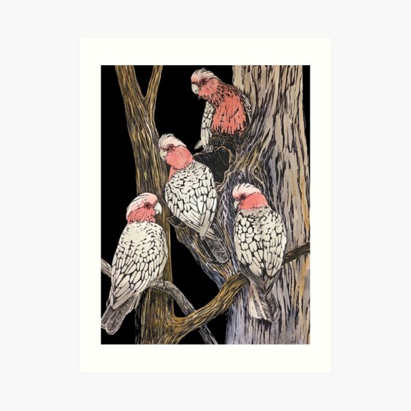 Galahs Art Print