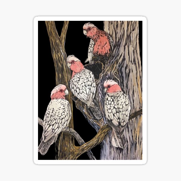 Galahs Sticker