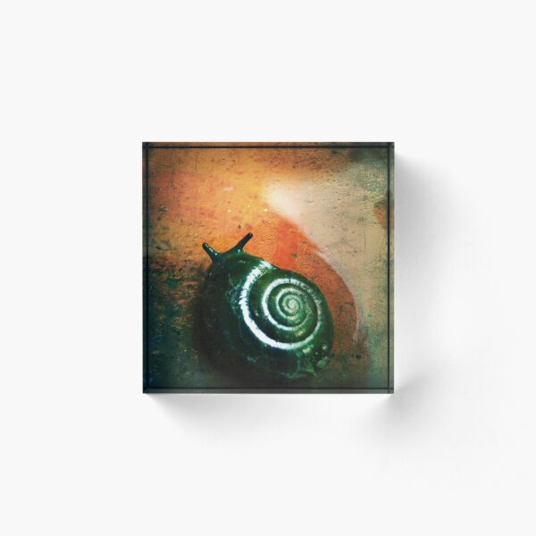 Escargot Bloc acrylique