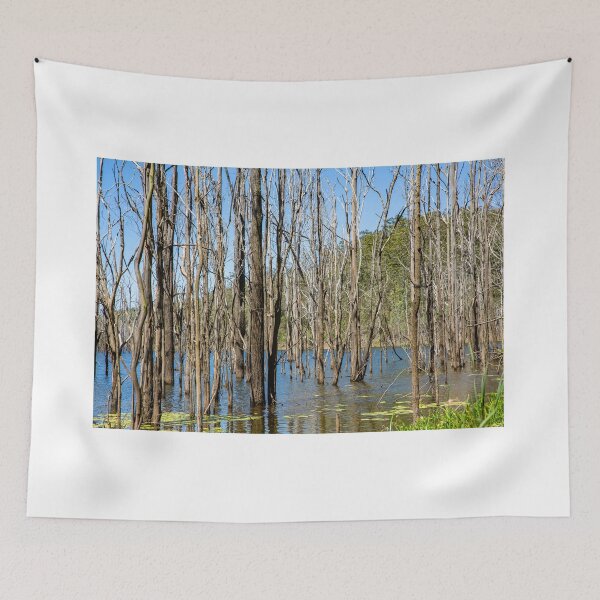 Item preview, Springbrook National Park - Gold Coast designed and sold by Martin Berry Photography.