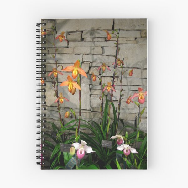 Item preview, Display of hanging Orchids designed and sold by MarianBendeth.